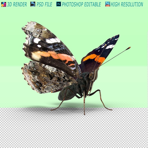 3D PSD テンプレート フード フラワー スポーツ キッチン 家具 アンプ ガジェット