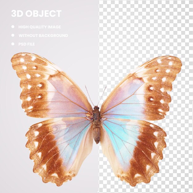 PSD 3d 紫と茶色の蝶