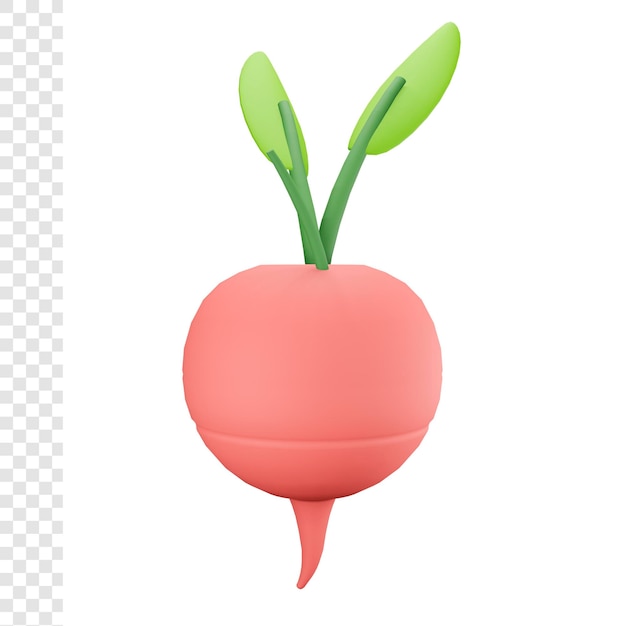 3d radish