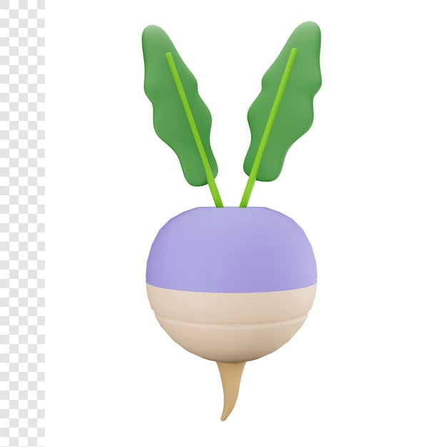 3d Radish