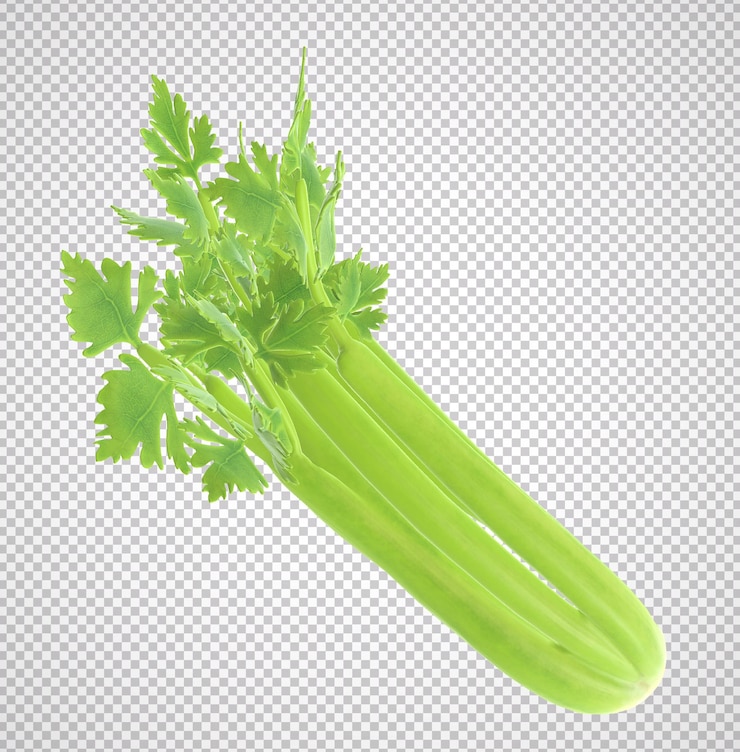 PSD 3d randering of a fresh celery isolated on transparent background