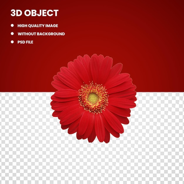 3d red gerber flower