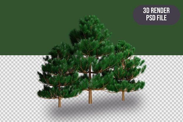 PSD rendering 3d rendering di 3 alberi premium