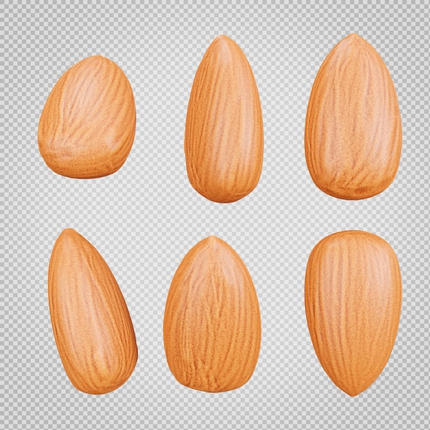 3d render of almond collection isolated on transparent background