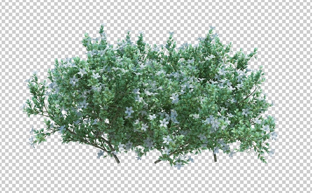 PSD 3d render brush tree, изолированные на белом
