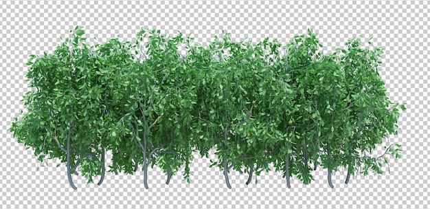 3d render brush tree, изолированные на белом