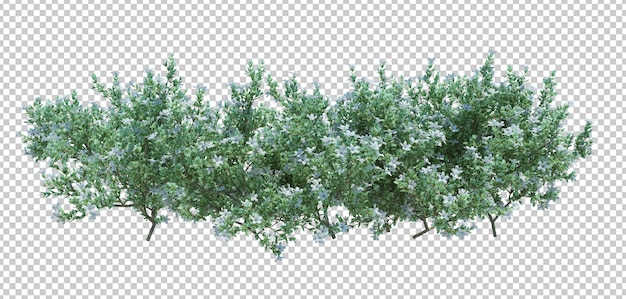 3d render brush tree, изолированные на белом