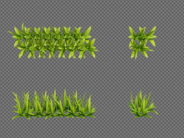 3d Render แปรงต้นไม้ แยกจากสีขาว