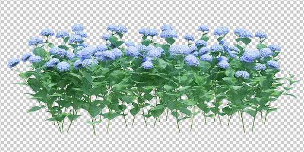 3d render brush tree isolated  on white
