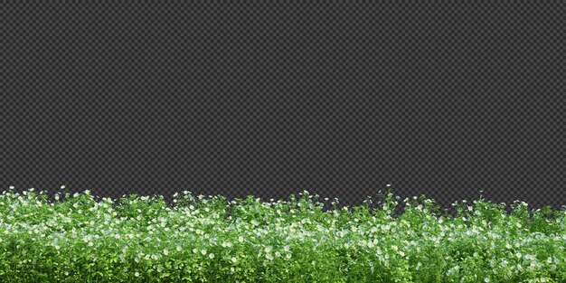 PSD 3d render brush tree isolated on white