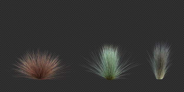 PSD 3d render brush tree isolated on white