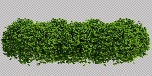 3d Render Brush Tree Isolated on white