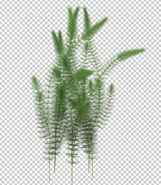 PSD 3d render brush tree isolated