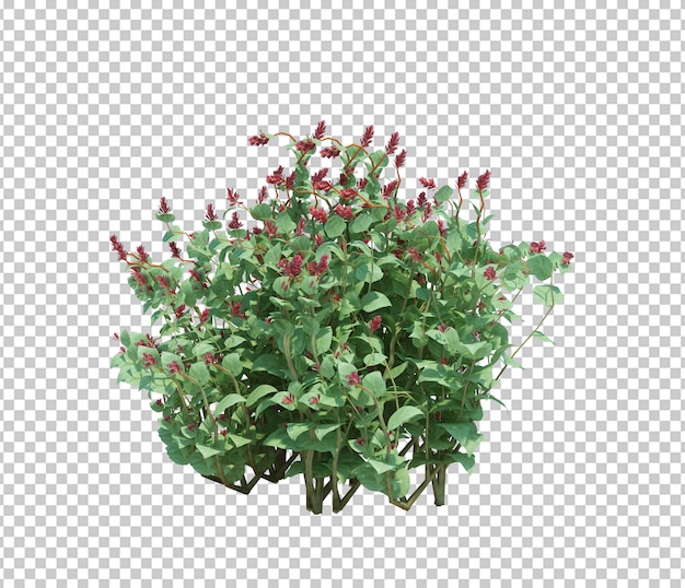 PSD 3d render brush tree isolated