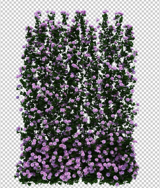 3d render brush tree isolated