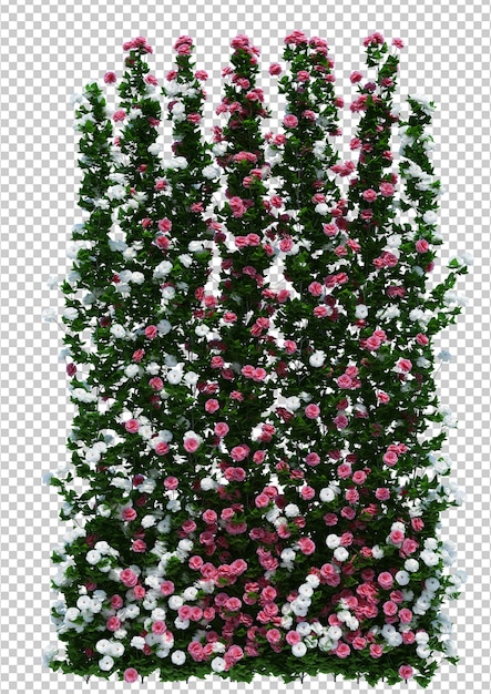 PSD 3d render brush tree isolated