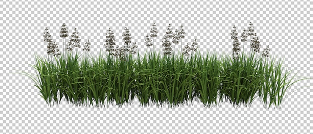 PSD 3d render bush with flowers isolated