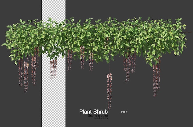 3d render een verscheidenheid aan planten en bloemen.