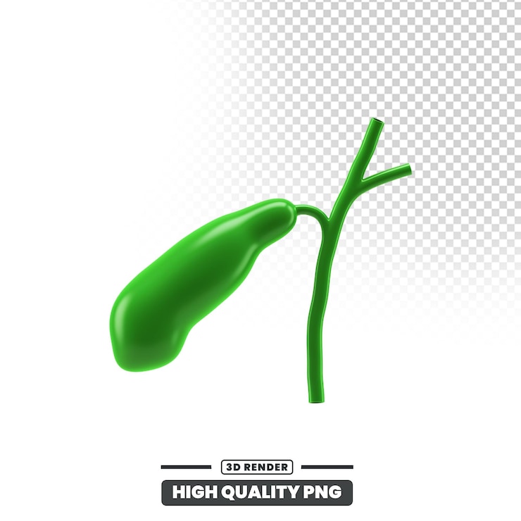PSD 3d render of a gallbladder and bile duct