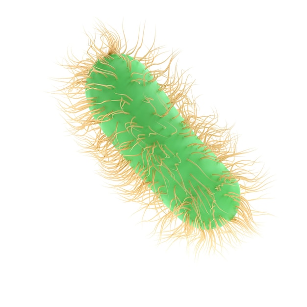 3d render illustratie escherichia coli van pathogene bacteriën geneeskunde, salmonella typhosa met flagella microscopische weergave in vloeistof. medisch virus, wetenschappelijk concept met microbe en kiem,