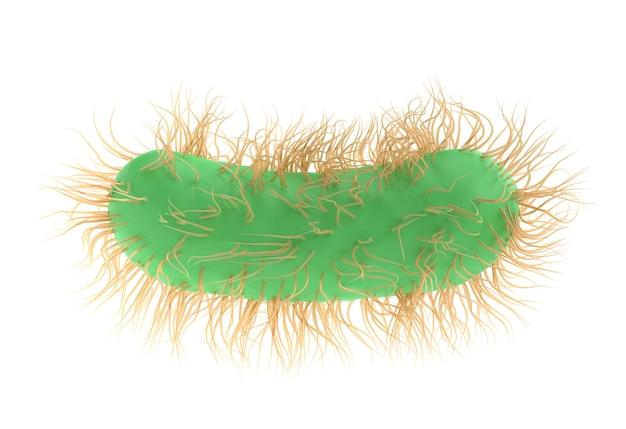 PSD 3d render illustration escherichia coli of bacterium bacteria medicine salmonella typhosa flagella