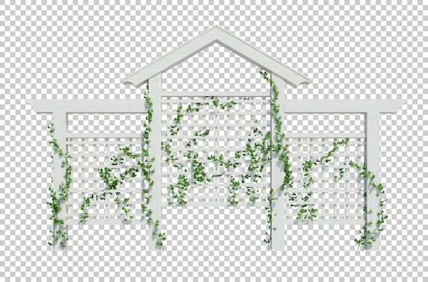 PSD 3d render ivy piante isolate su sfondo bianco