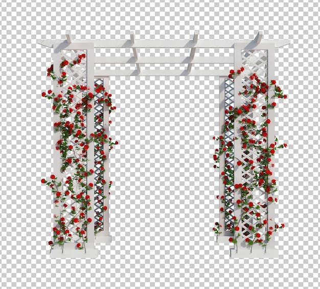 3d render ivy plants isolated