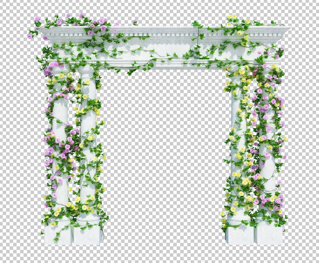 3d render ivy plants isolated