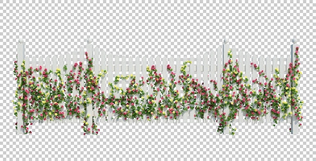 3d render ivy plants isolated