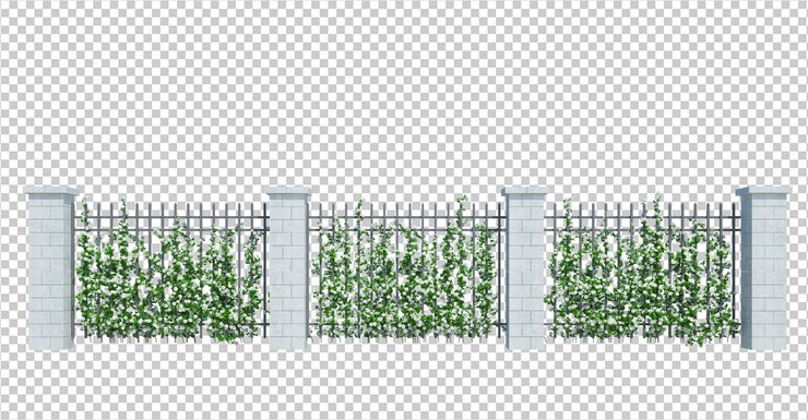 PSD 3d render ivy plants isolated