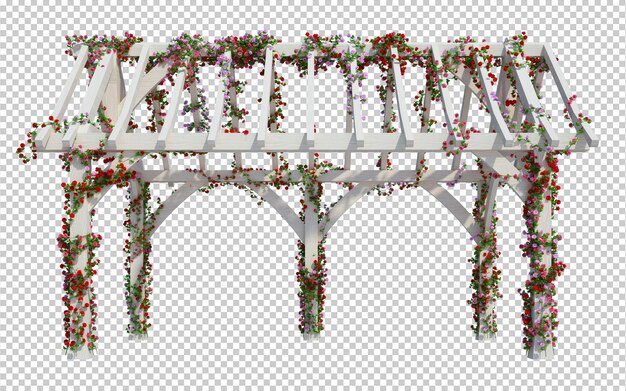 PSD 3d render ivy plants isolated