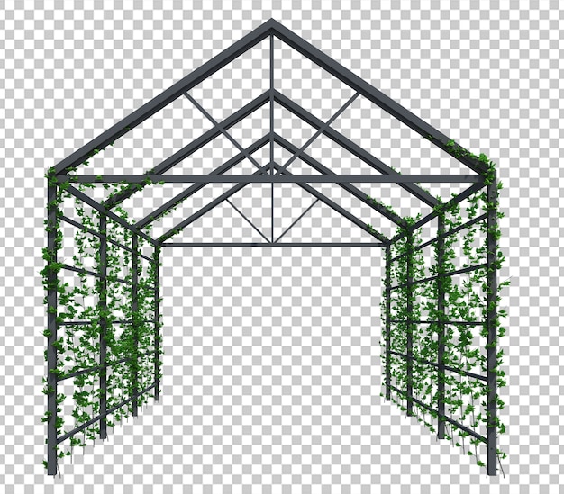 PSD 3d визуализация растений плюща изолированные