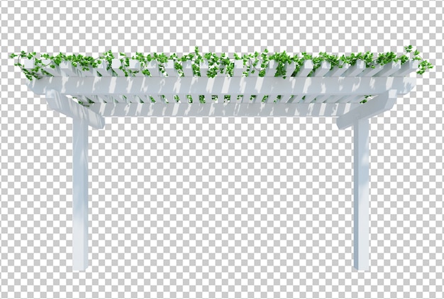 PSD 3d render ivy plants isolated