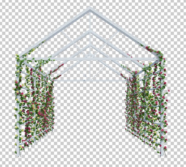 3d render ivy plants isolated