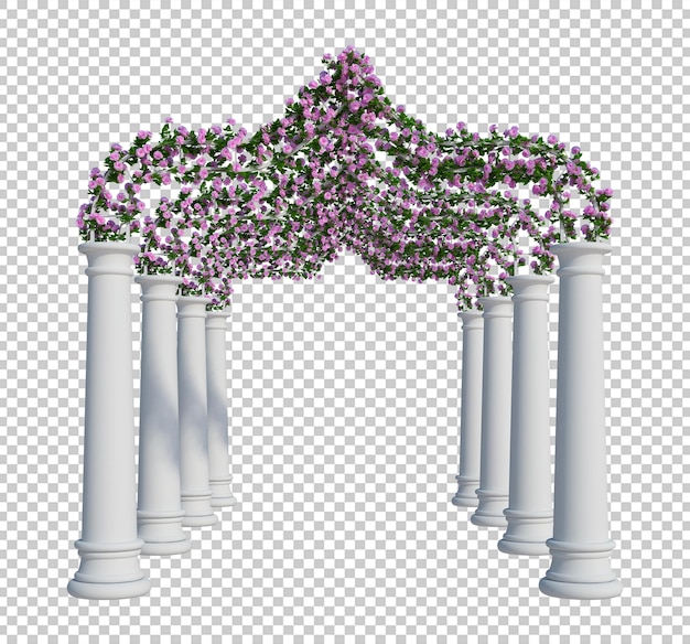 3d render ivy plants isolated