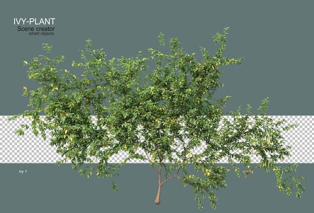 3D レンダリング アイビー 色とりどりの花