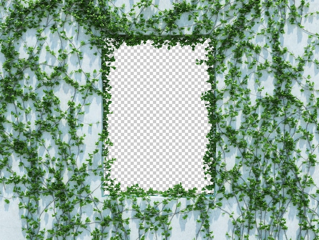 PSD 3d render klimop planten geïsoleerd