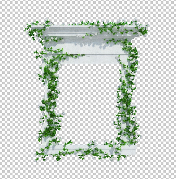 3d render klimop planten geïsoleerd