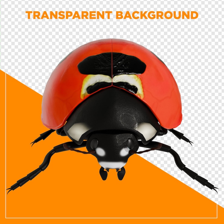 PSD 3d render ladybug animal close up with transparent background