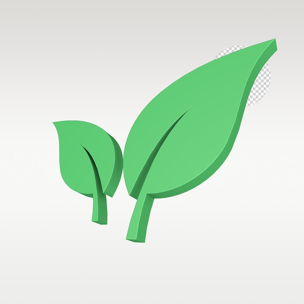 3D Render Leaves