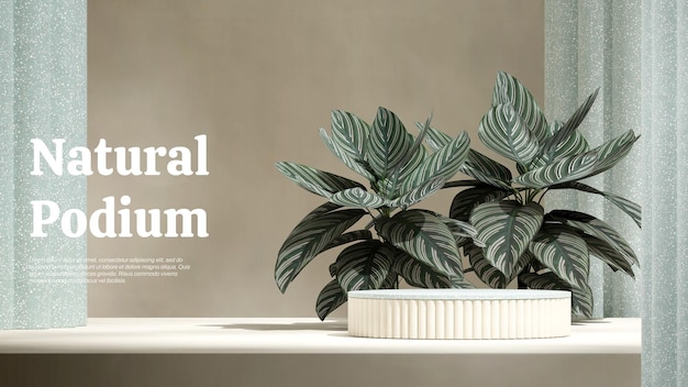 PSD 3d render mockup template green terrazzo cylinder podium in landscape calathea plant and white wall