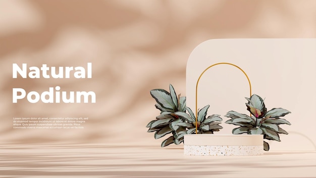 칼라테아 식물과 금색 아치가 있는 풍경의 3d 렌더링 모형 템플릿 흰색 및 테라조 연단
