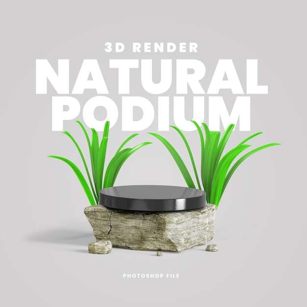 PSD 3d render natural podium with stones and leaves