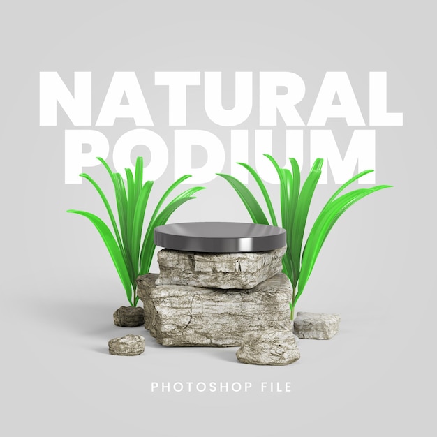 Podio naturale di rendering 3d con pietre e foglie