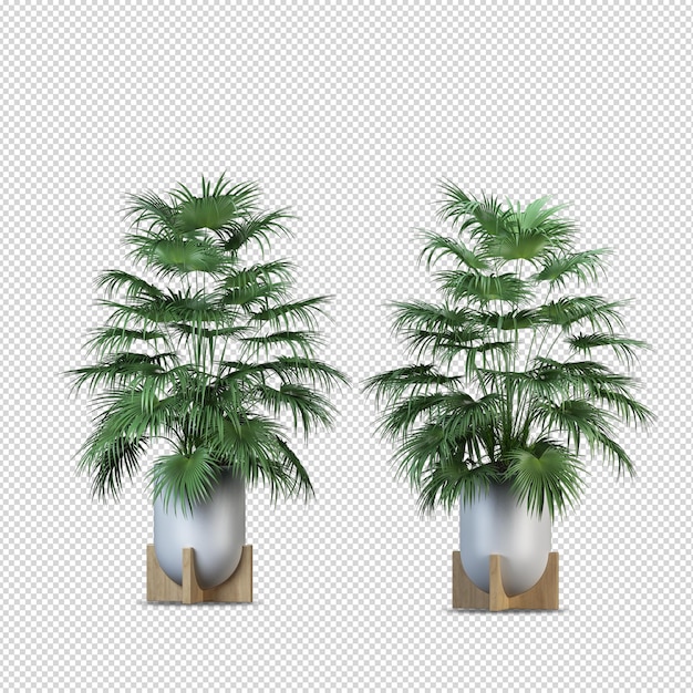 分離されたポットの3dレンダリング植物