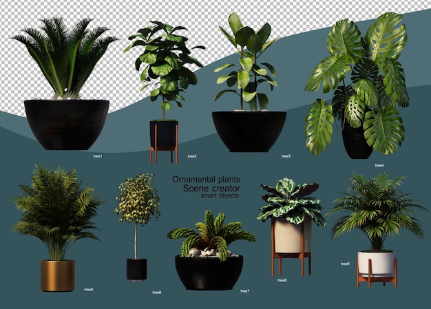 PSD 3d render plant pots for decoration varieties of houses