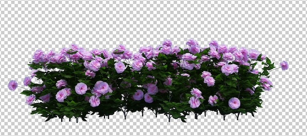 3d render van borstel boom met bloemen geïsoleerd