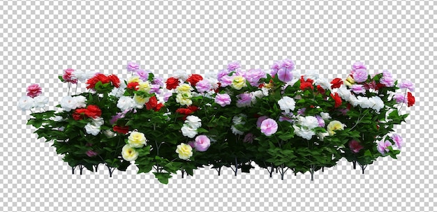 3d render van borstel boom met bloemen geïsoleerd