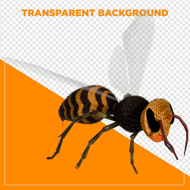 PSD 3d render wasp animal close up with transparent background