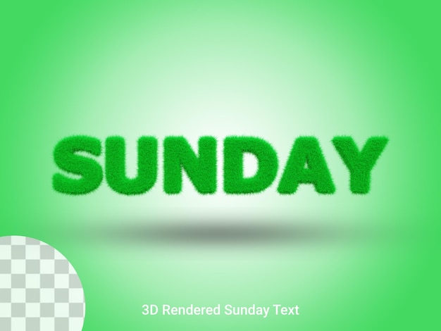 PSD 3d rendered sunday grass text